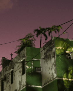 cuba, havana, building, plants sky, city