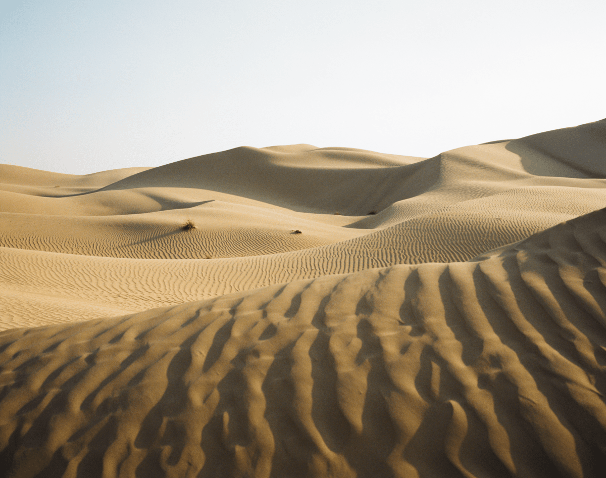 Sand dunes Al Marmoom Desert