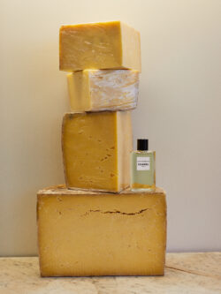 chanel, perfume, cheddar