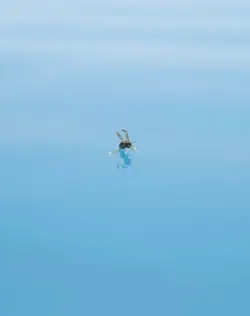 Insect floating over water. Phot by Gina Bolle