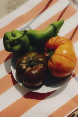 Tomate, Paprika und Chilli auf einem Teller. Fotografiert von Amelie Niederbuchner