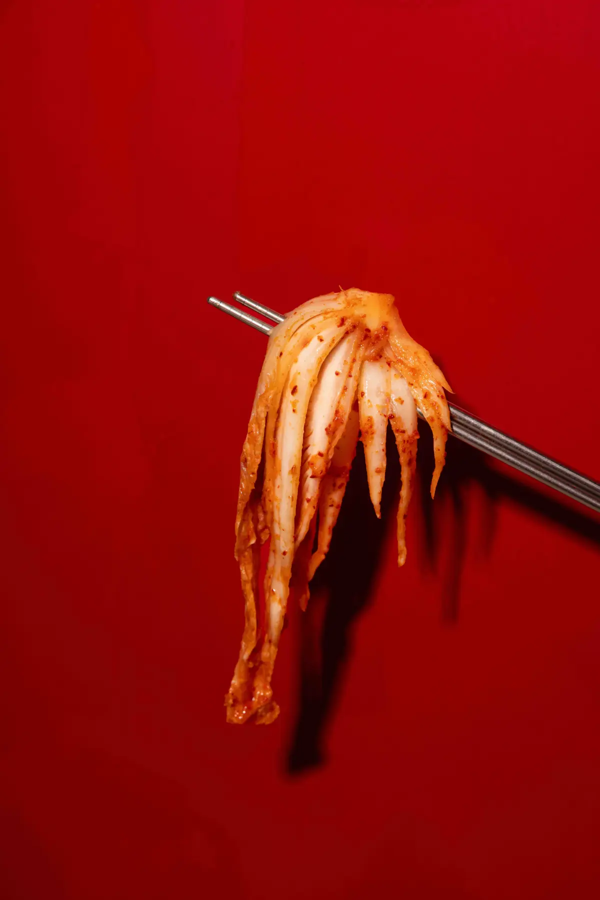 Photo of Kimchi resembling an ocotopus by Julia Rotter. Limited, sigend, framed